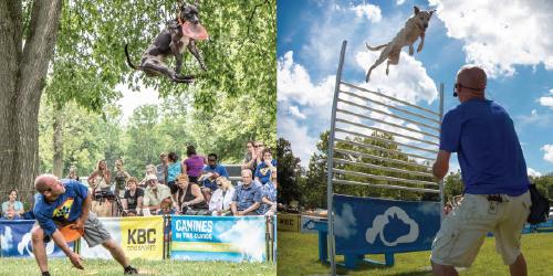Canines in the Clouds Frisbee Dogs